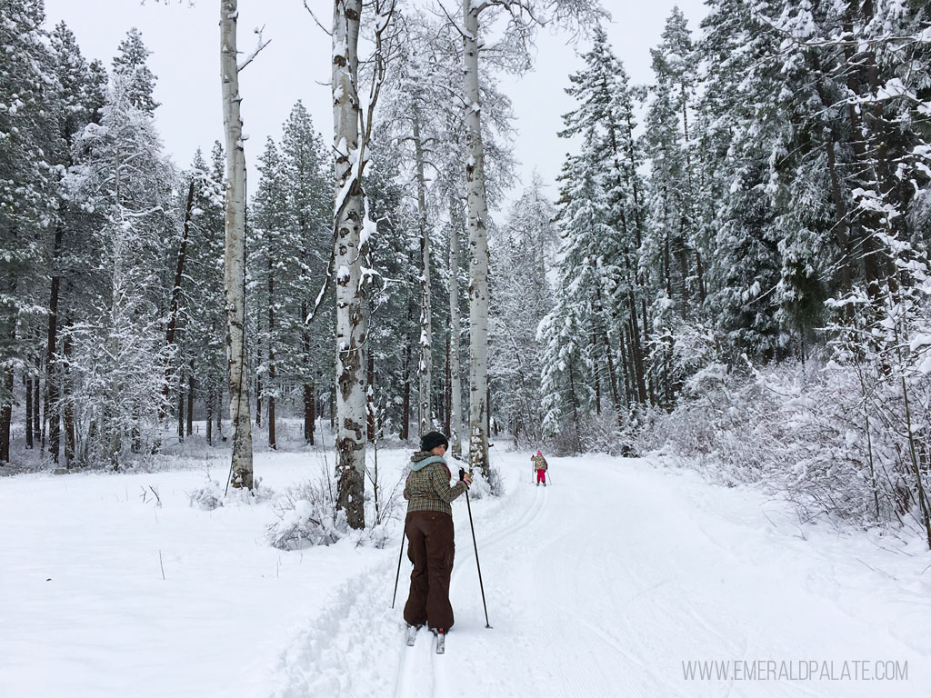 list of the best Things to do in Leavenworth WA in Winter 