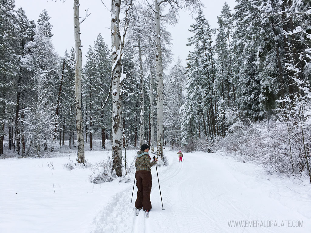 list of the best Things to do in Leavenworth WA in Winter