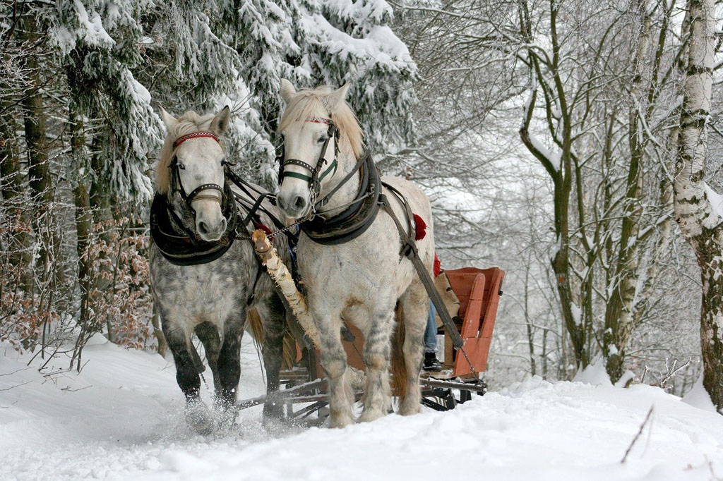 14 Cozy Things to Do in Leavenworth WA in Winter The Emerald Palate