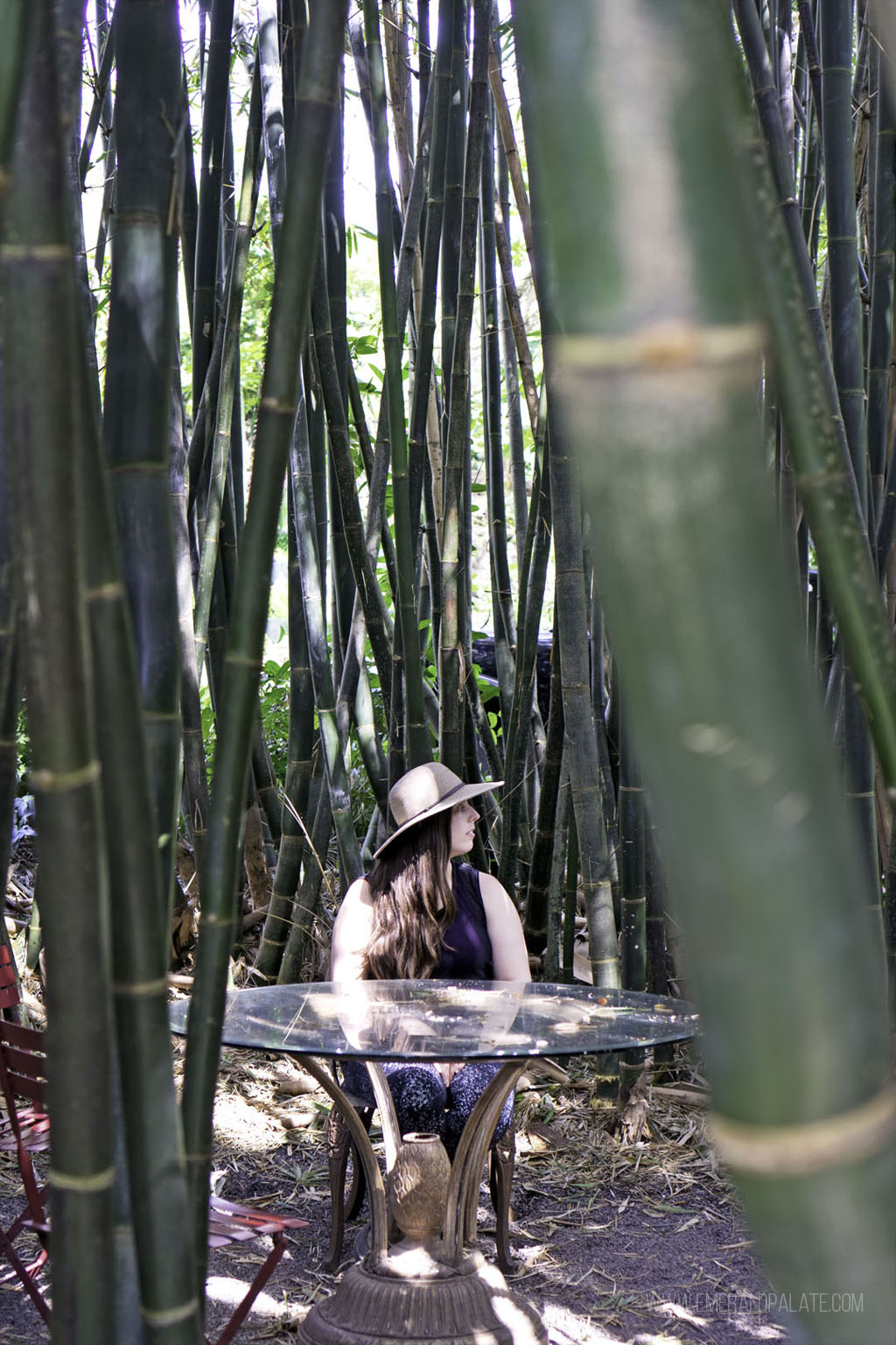 woman sitting in a bamboo forest in Maui