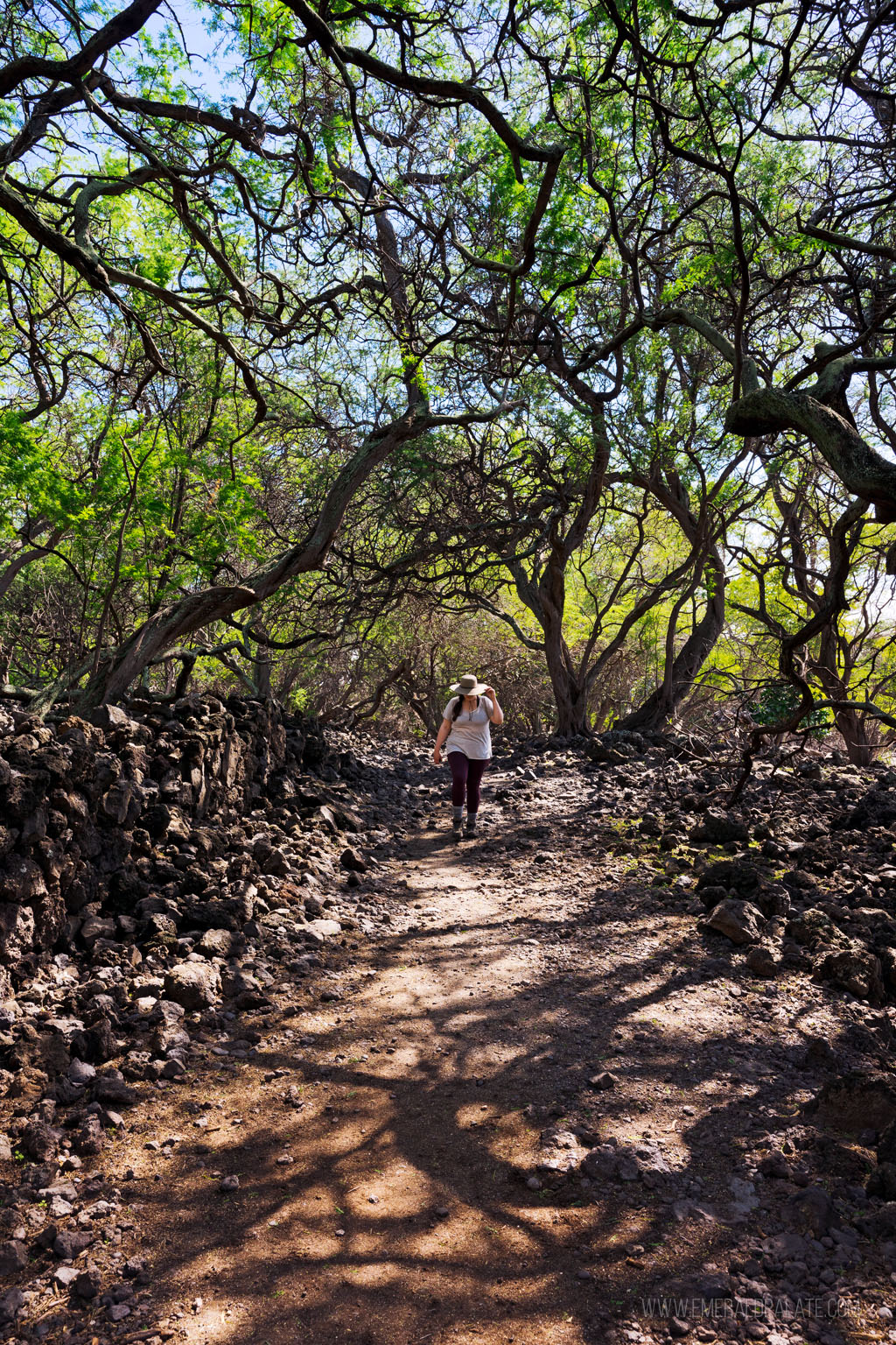 woman walking through overgrown forest on one of the best hikes on Maui