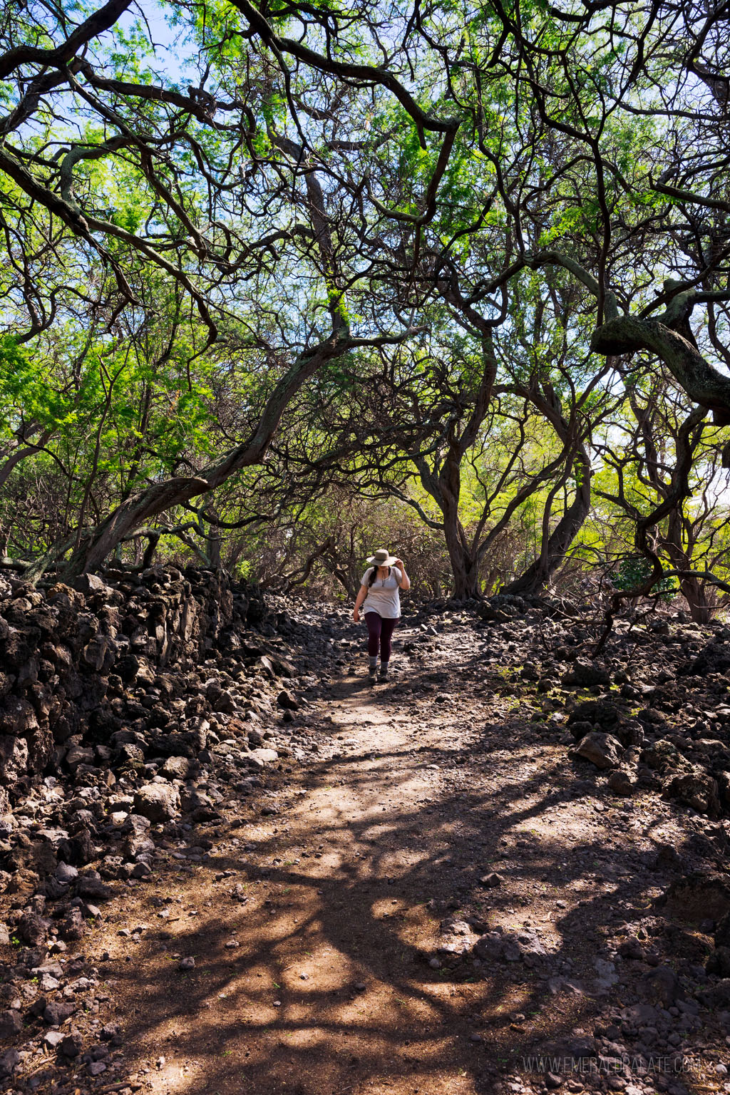 woman walking through overgrown forest