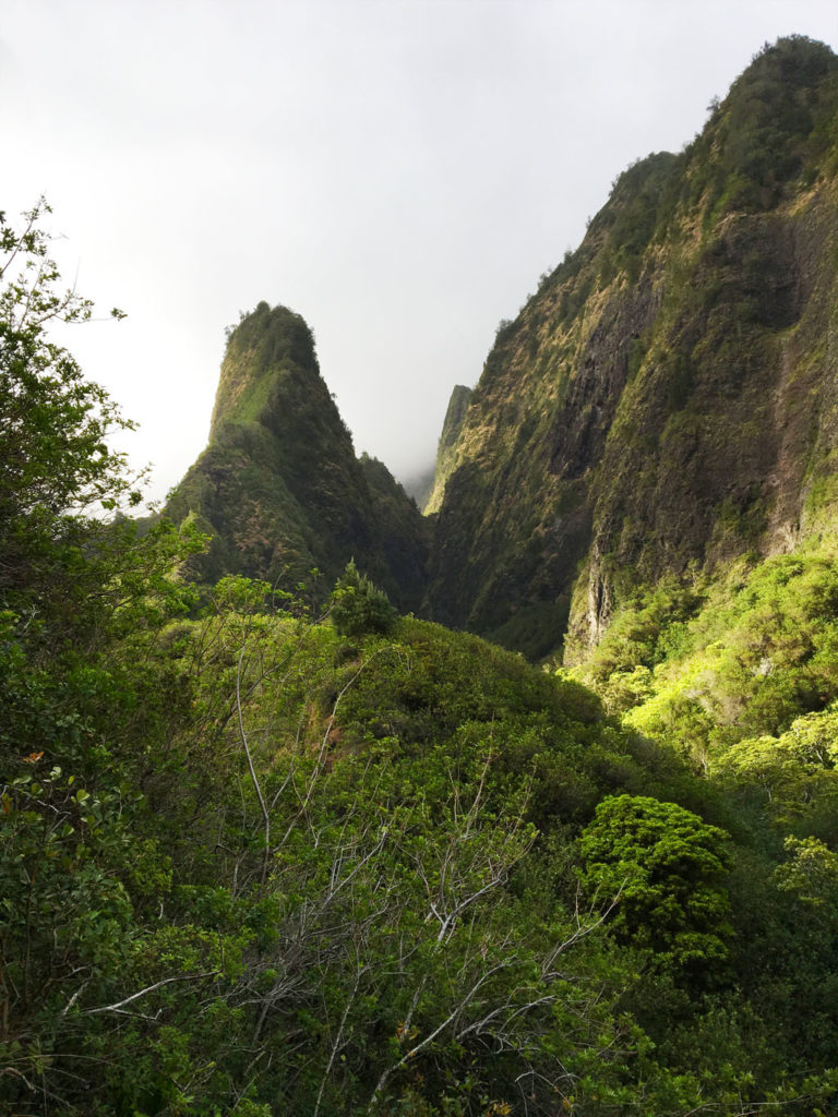 Iao Needle, one of the easy hikes on Maui
