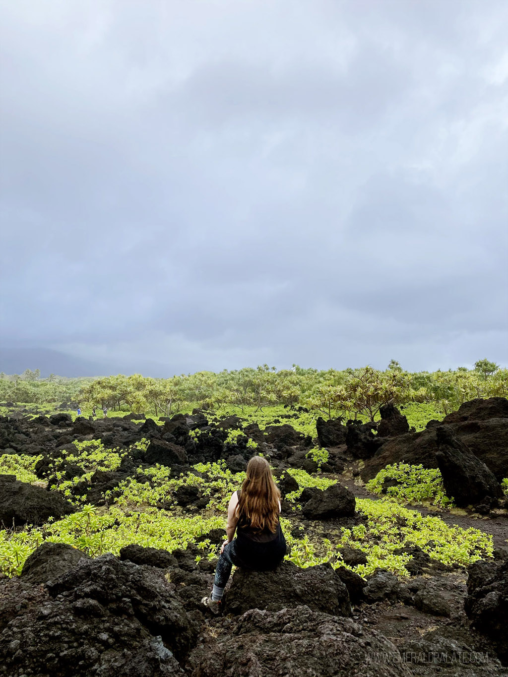 woman looking out at the forest on one of the best easy hikes on Maui