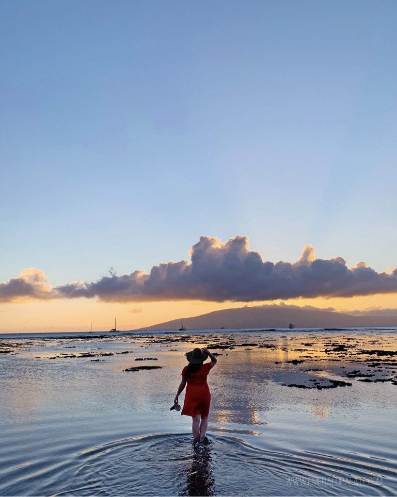 woman walking in the water on a beach at sunset