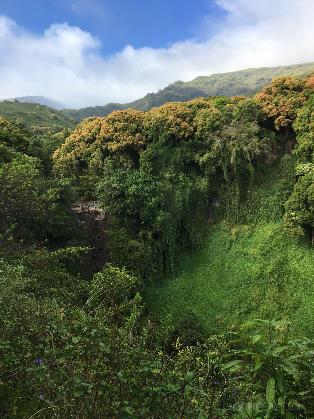 view of Maui from a lookout on a hike