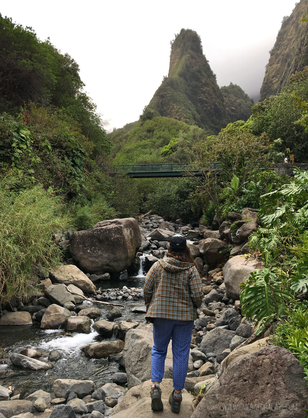 woman looking out over a river with Iao Needle in the background
