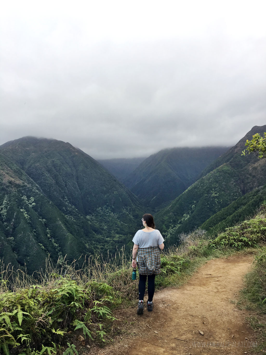 woman looking out on a green canyon on on of Maui's best easy hikes