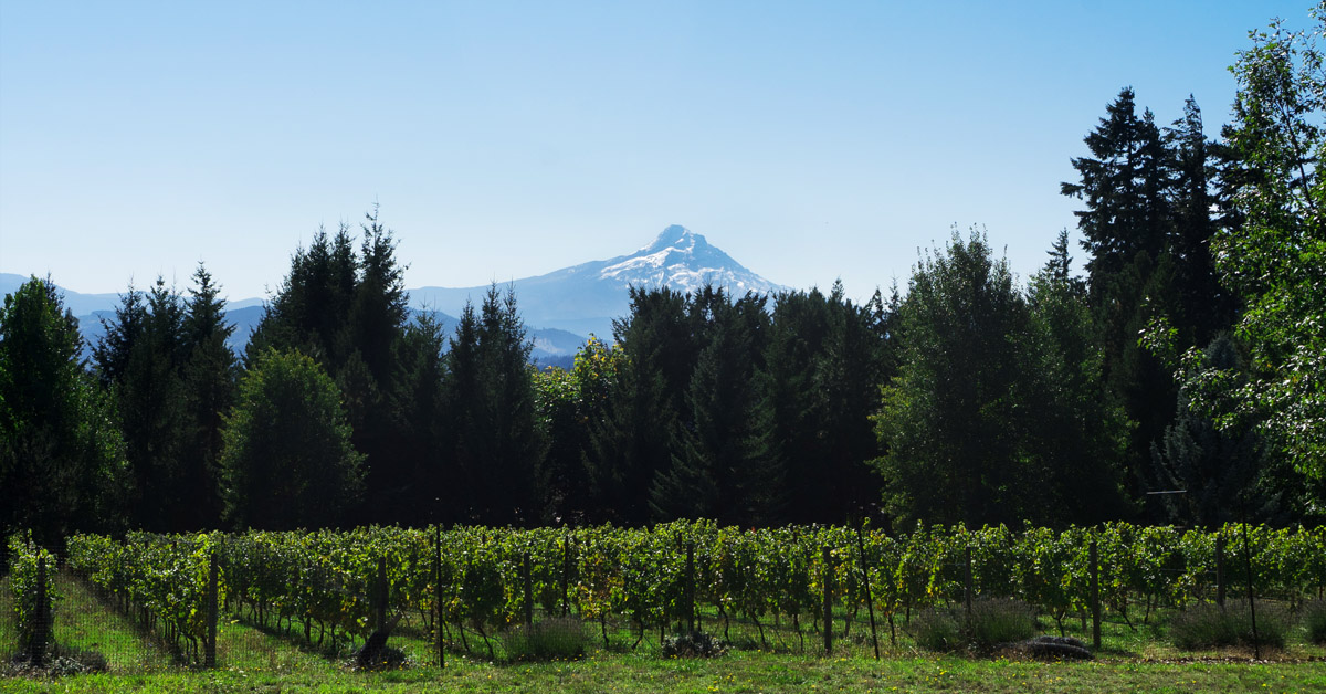 columbia river gorge wine tour