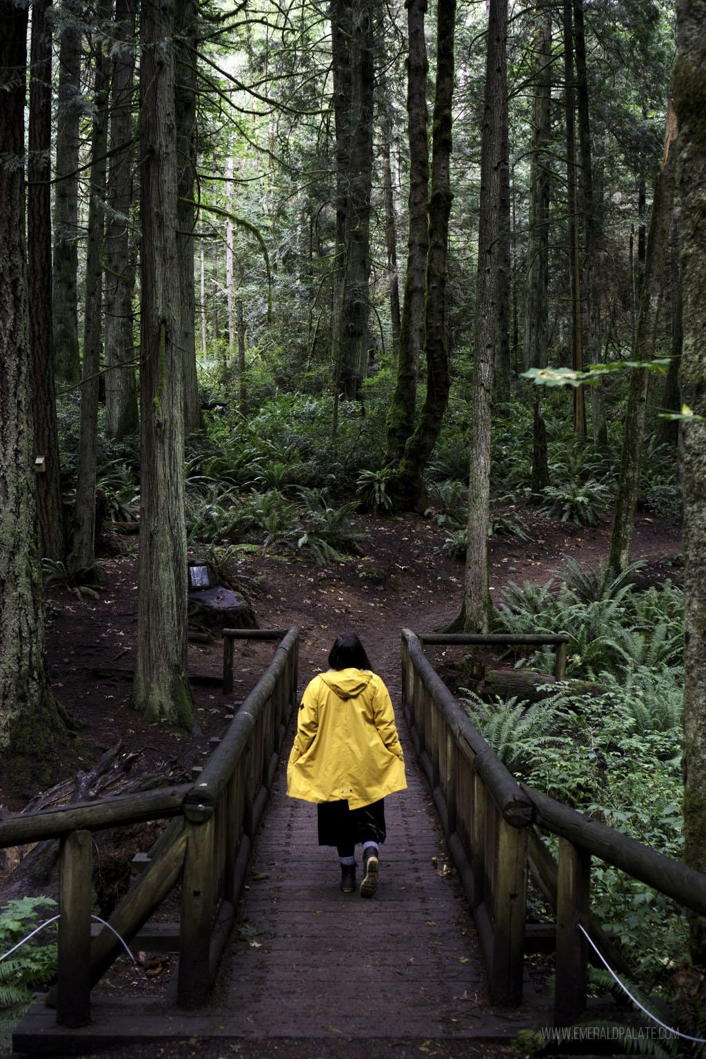 woman walking through Grand Forest on Bainbridge Island, one of the best road trips from Seattle