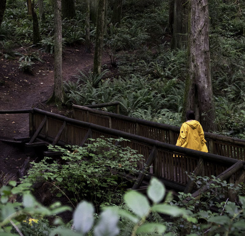 person passing over a bridge on one of the best hiking spots in Seattle