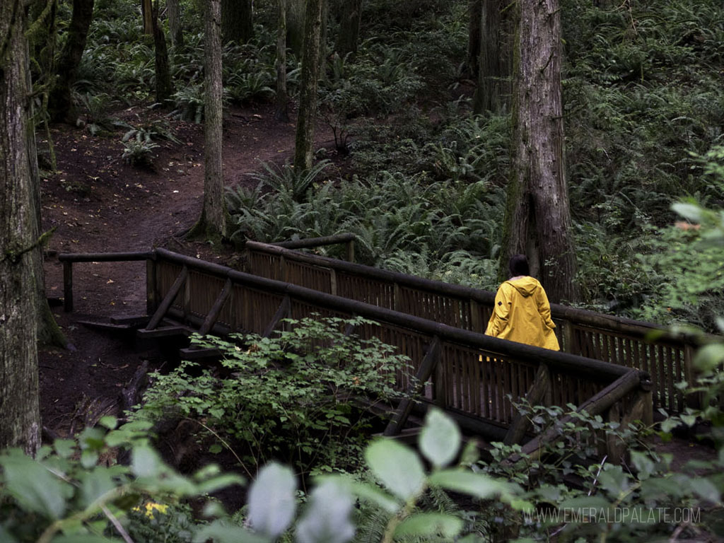 woman walking through the forest on one of the best hiking spots in Seattle