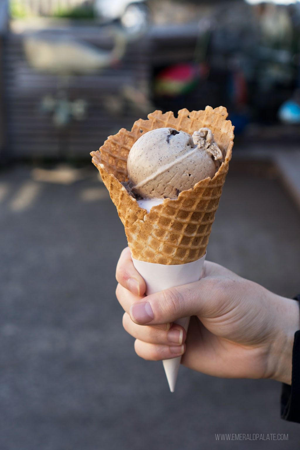 person holding ice cream waffle cone from a must visit on a day trip to Orcas Island from Seattle