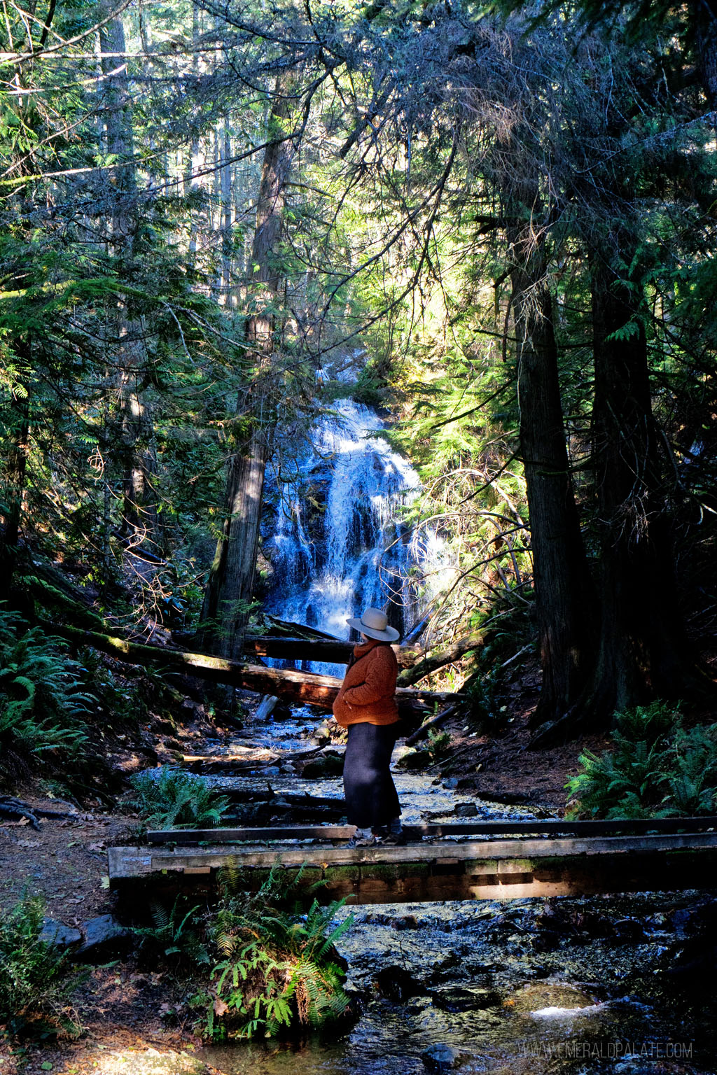 woman in the woods looking at a waterfall, a must visit during an Orcas Island day trip to Seattle