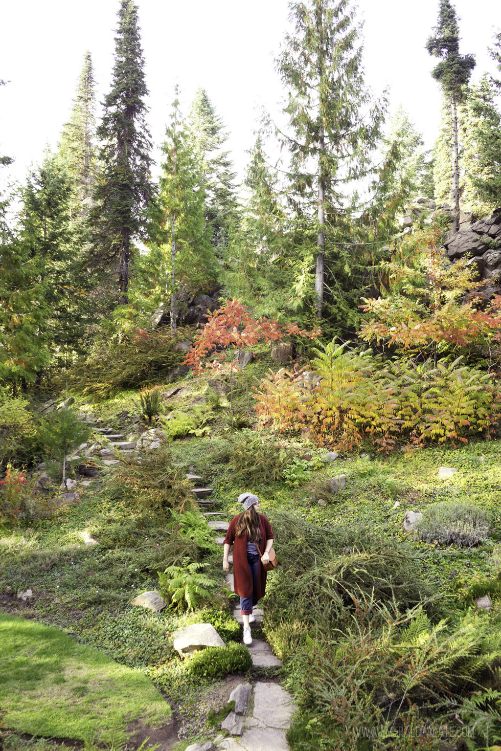 woman walking in woods in Wenatchee