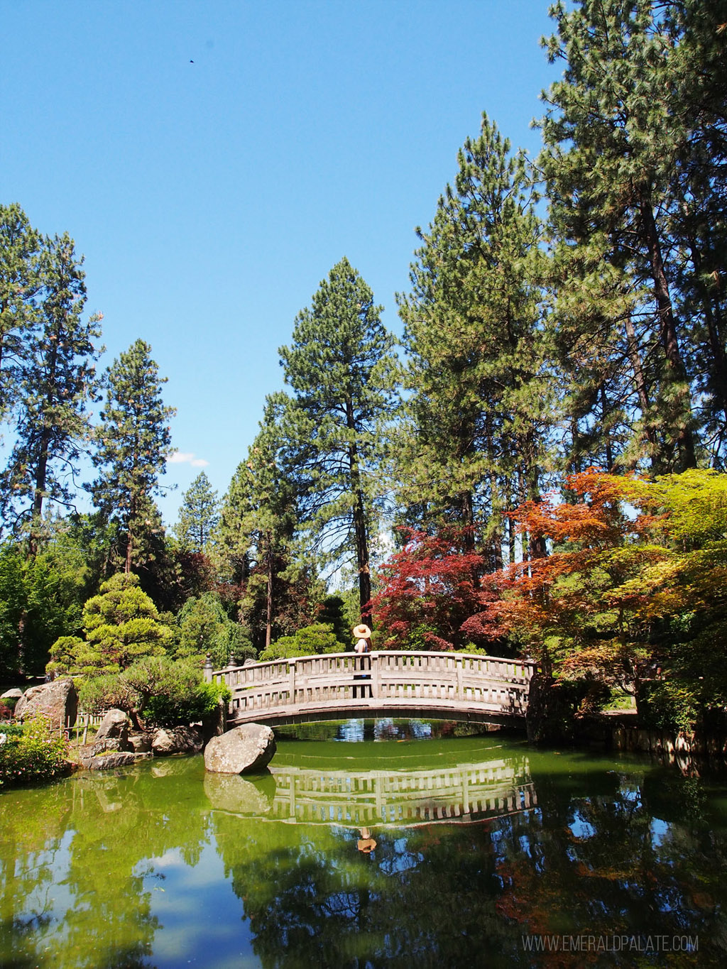 woman walking over bridge in Manito Park in Spokane, WA