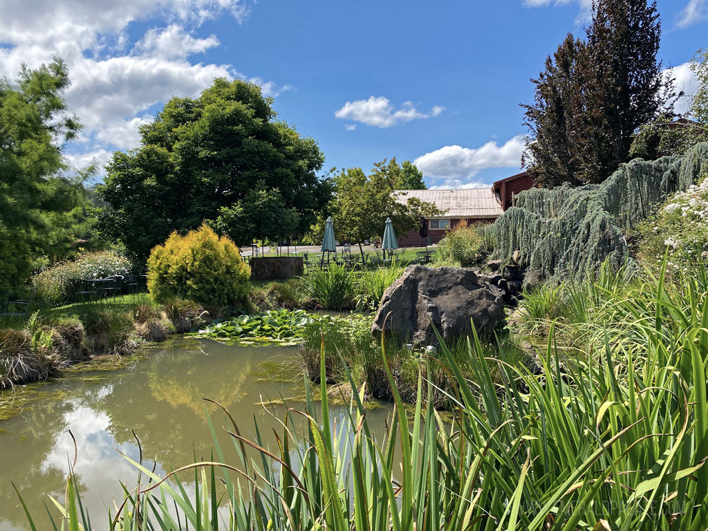 pond and winery grounds at one of the best wineries in Eugene, OR