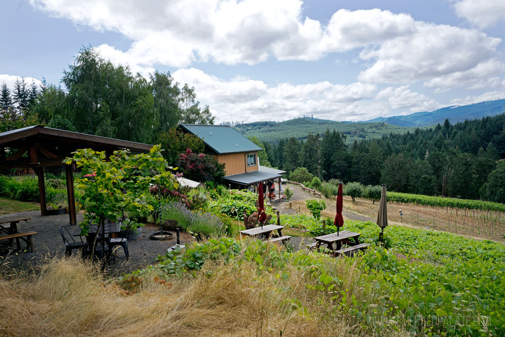 Brigadoon Wine Co, a vineyard near Eugene in South Willamette Valley