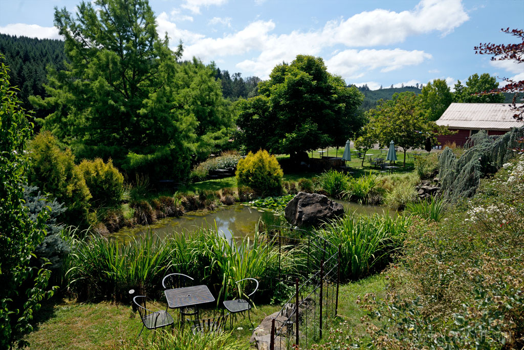 garden at one of the best vineyards in Eugene