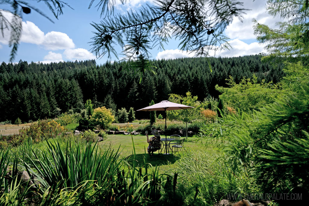 woman enjoying wine under an umbrella at a Eugene winery