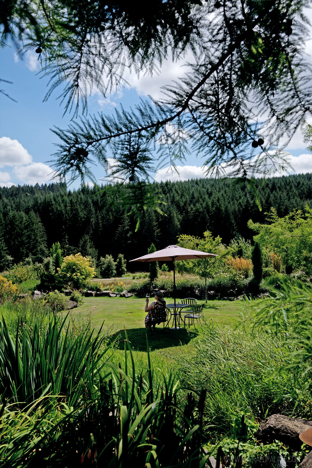 woman enjoying wine underneath an umbrella in a garden at one of the best boutique wineries in Eugene, OR