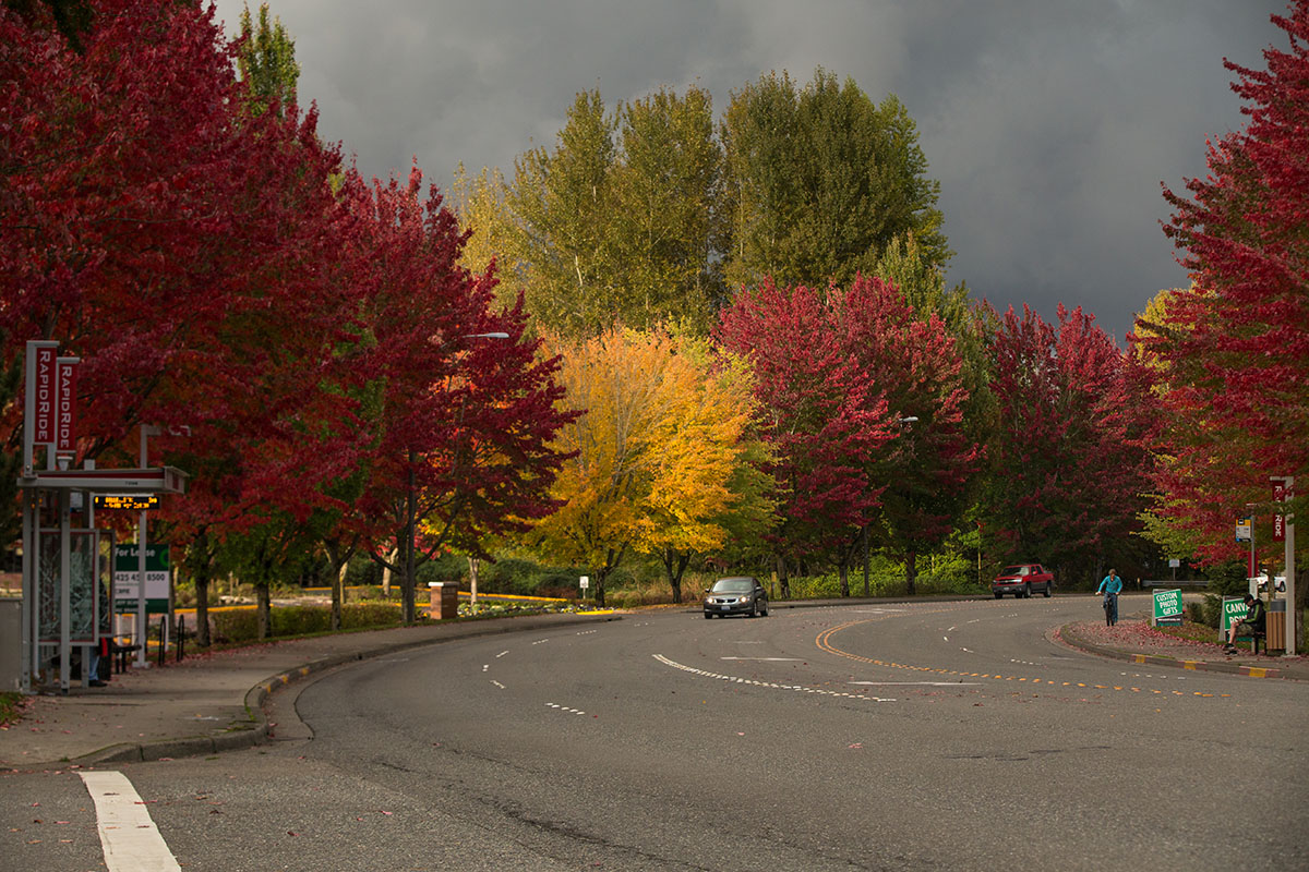 Redmond, WA in fall