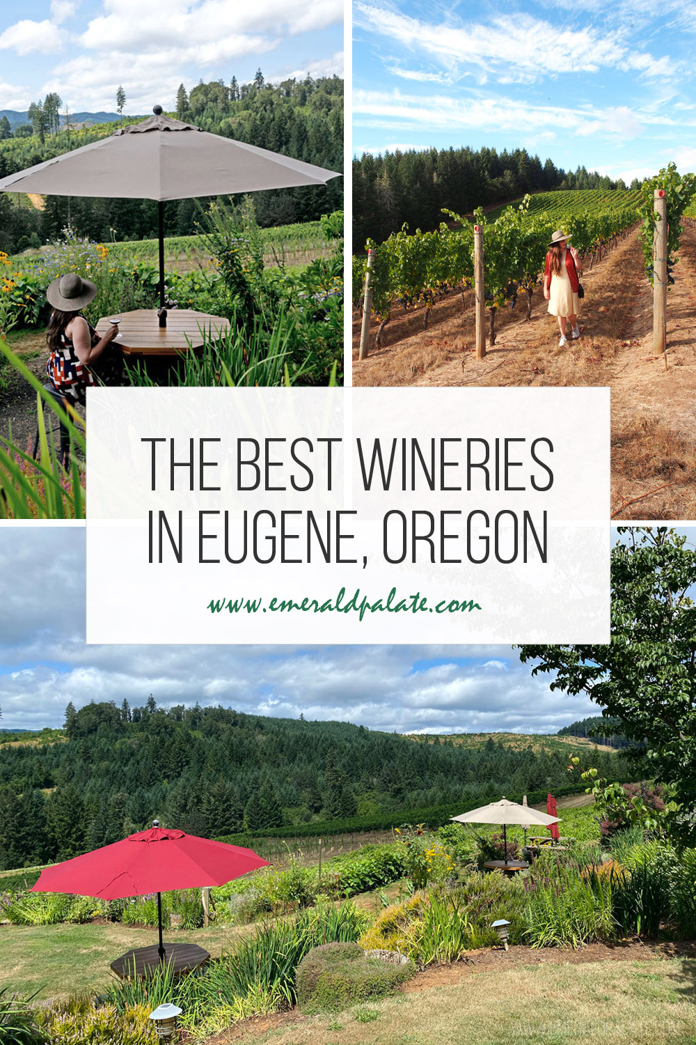 Eugene, OR wineries are the hidden gem of the South Willamette Valley. Most people only go to the Willamette Valley wineries near Portland, but those in the know visit the more casual, less expensive vineyards and tasting rooms in Eugene and the surrounding area.