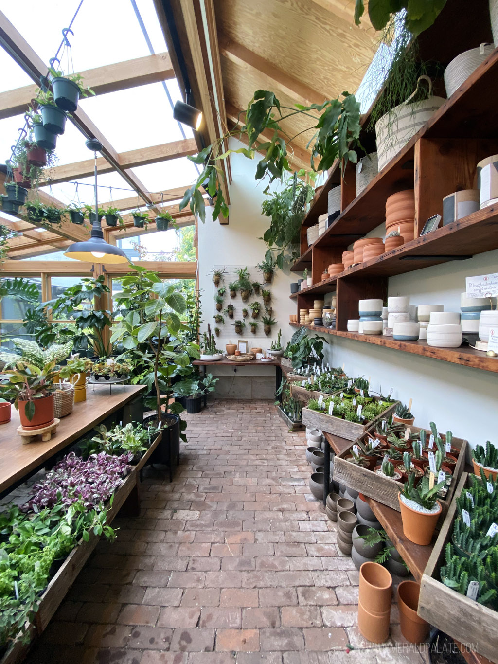greenhouse with a bunch of plants from one of the best Portland gift shops