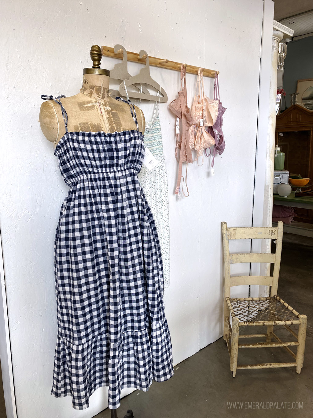 gingham dress and women's lingerie