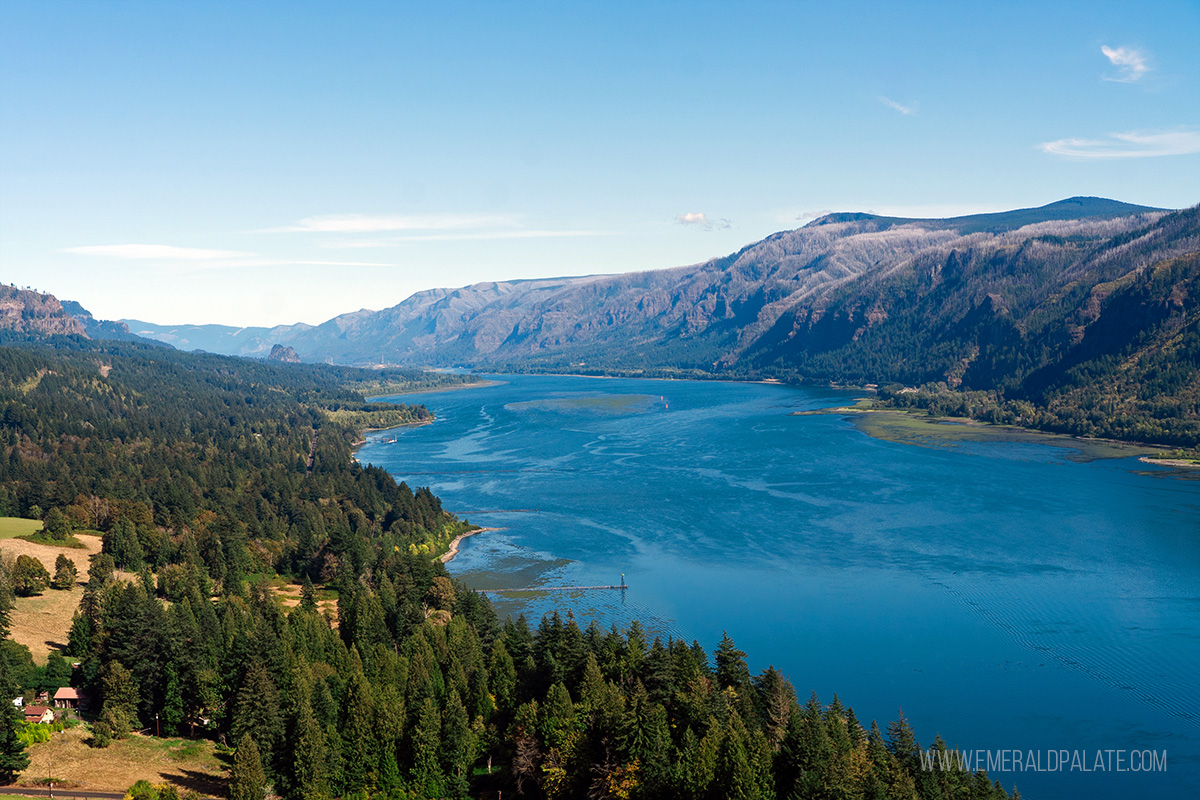 view of the Columbia River Gorge from a lookout