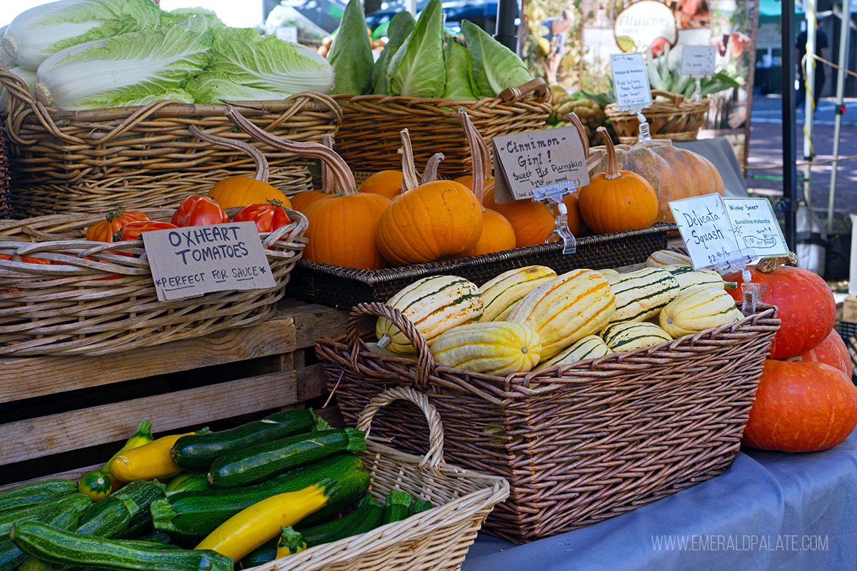 pumpkins, squash, and zucchini on a farmers market table