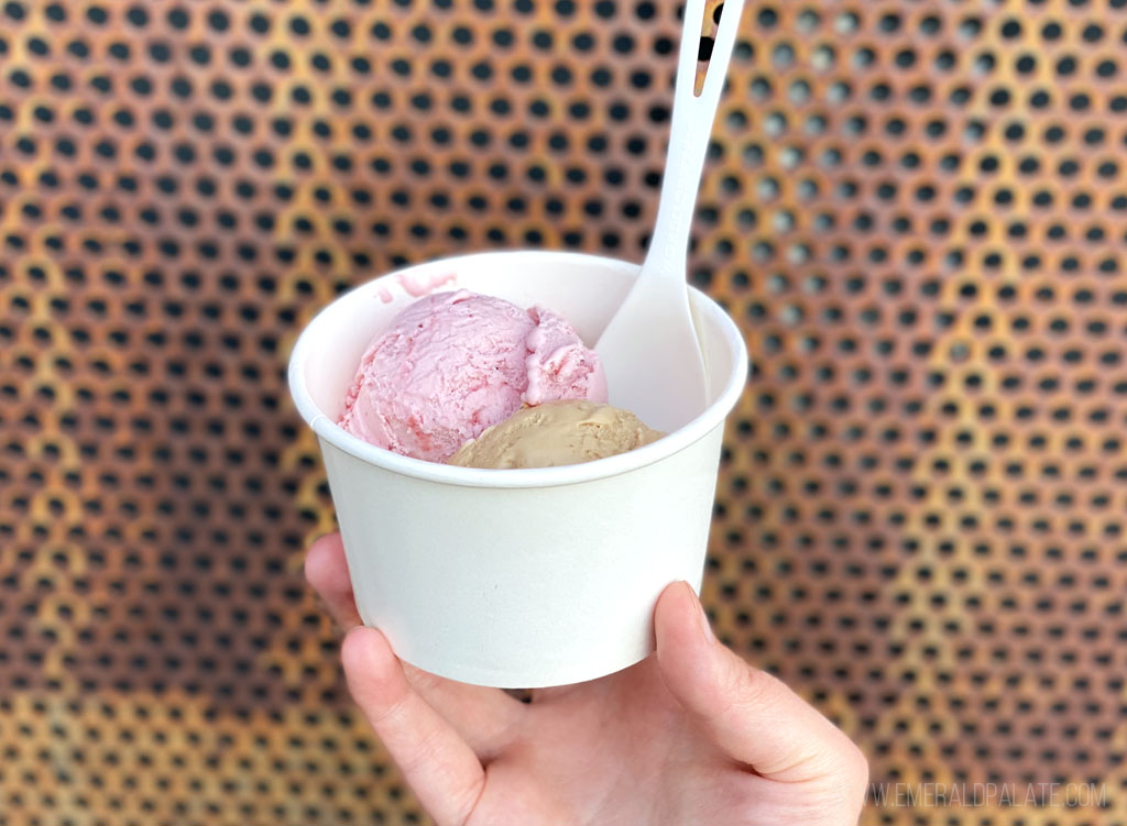 person holding a cup of strawberry and coffee ice cream in Vancouver, WA