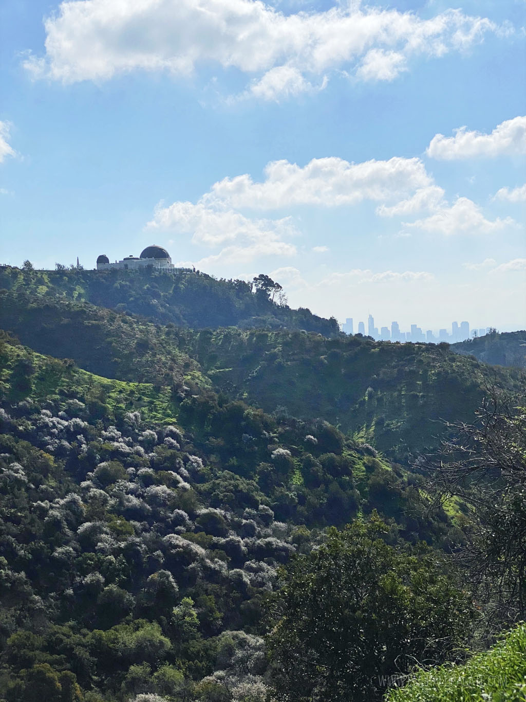 View of downtown LA and Griffith Observatory