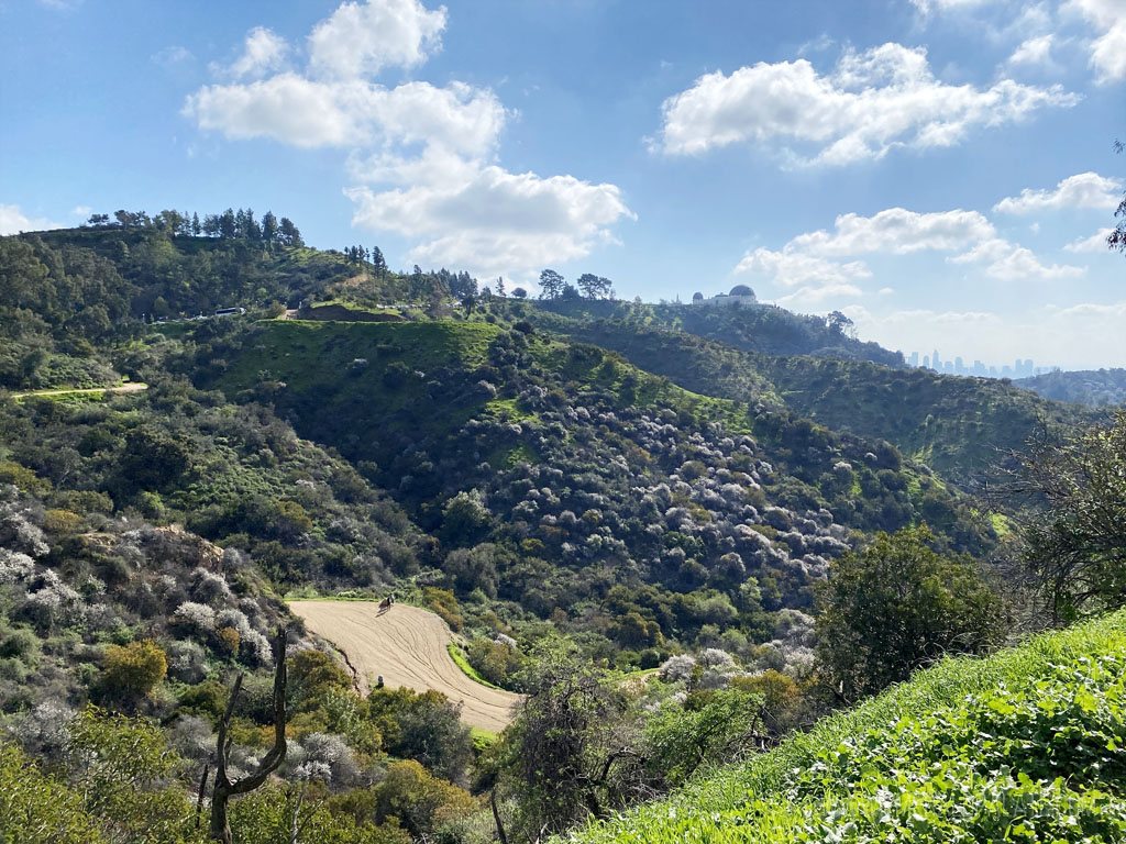 view of Griffith Park and Griffith Observatory