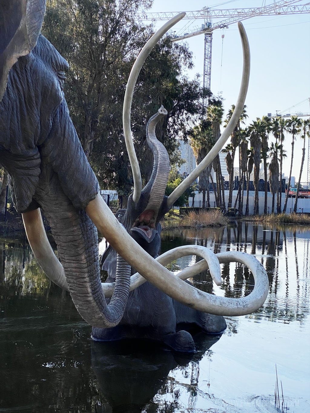 sculptures of mammoths at La Brea Tar Pits in LA