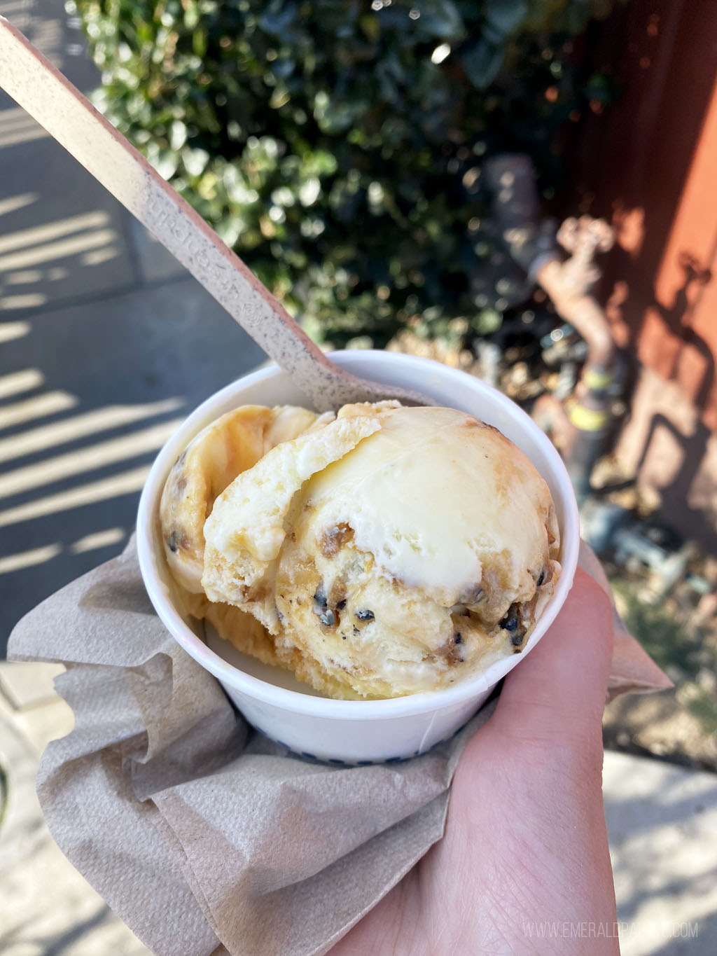 close up of a cup of ice cream