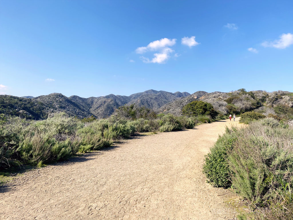 trail at Will Roger Park, a must visit during a 4 day Los Angeles itinerary