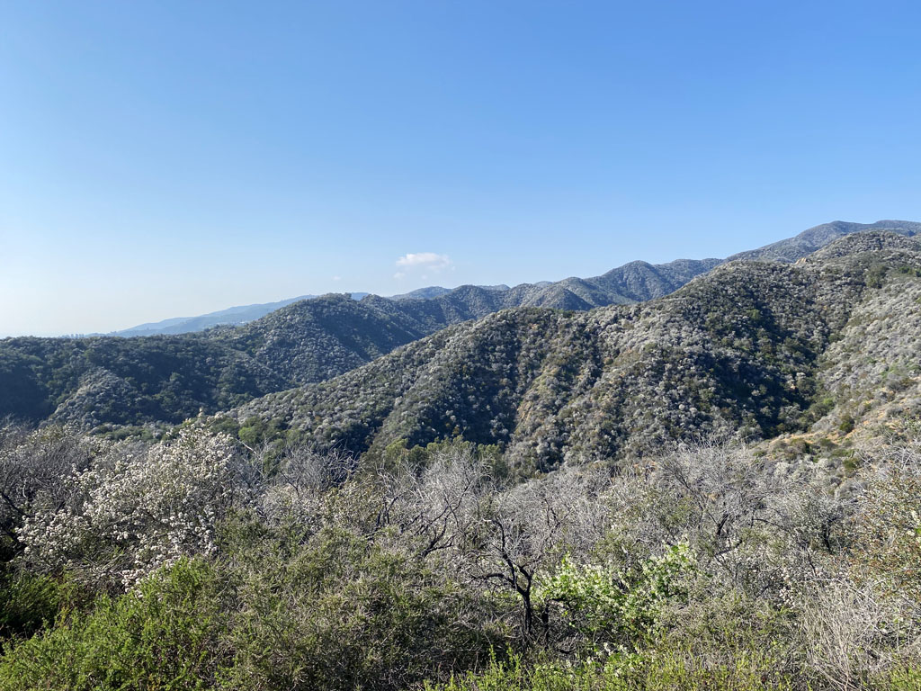 canyon views in LA