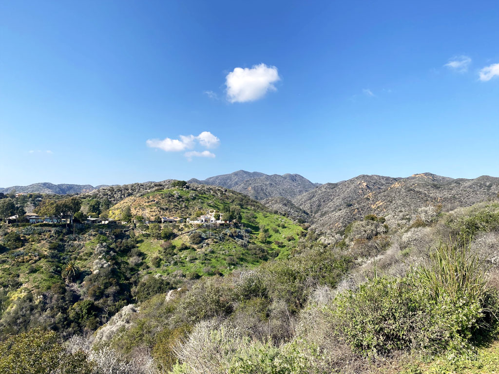 canyon views on a sunny day in Los Angeles, CA