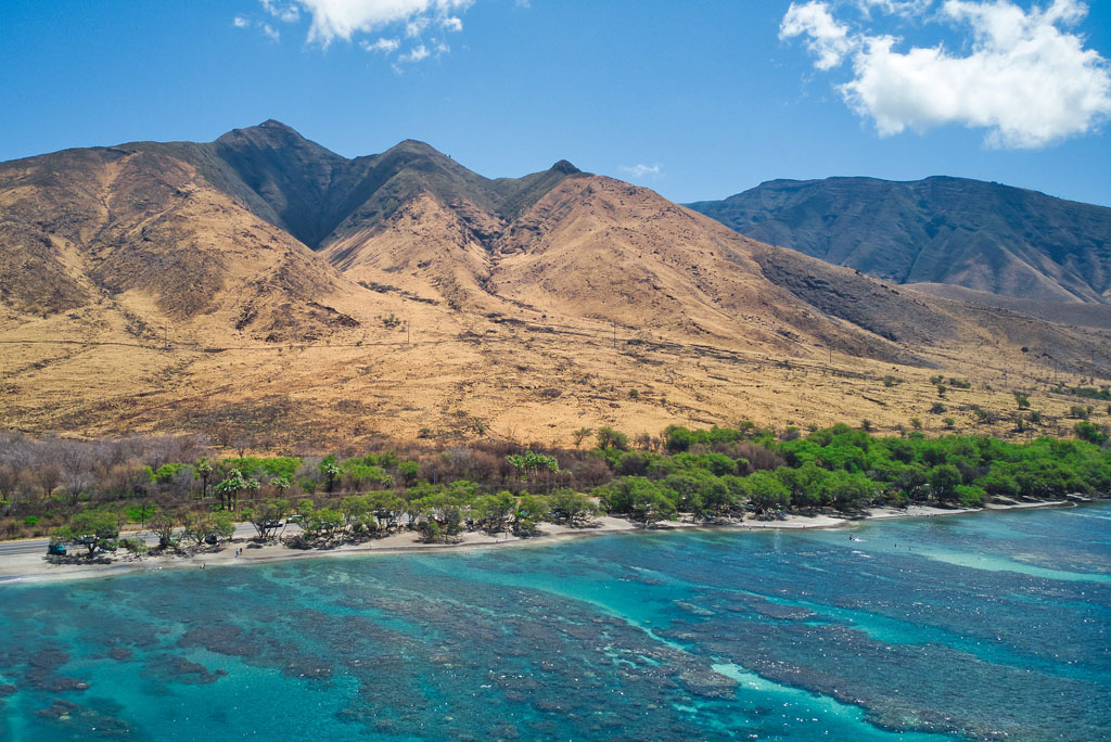 Olowalu Beach reef in Maui