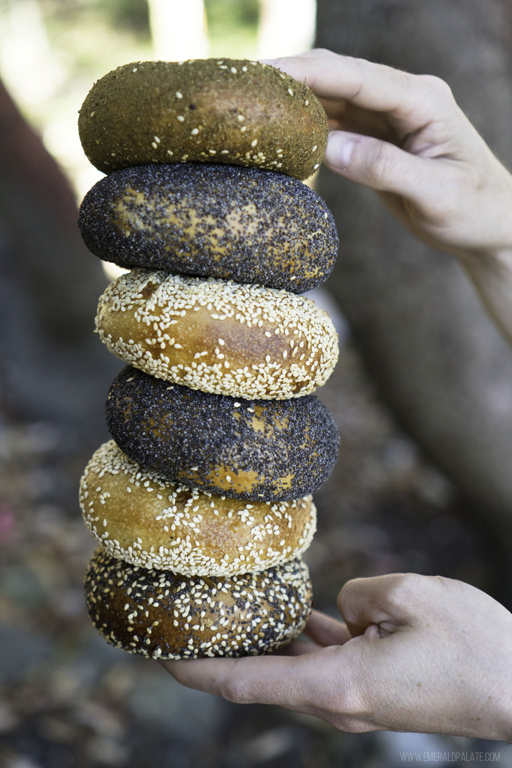 stack of person holding 6 bagels