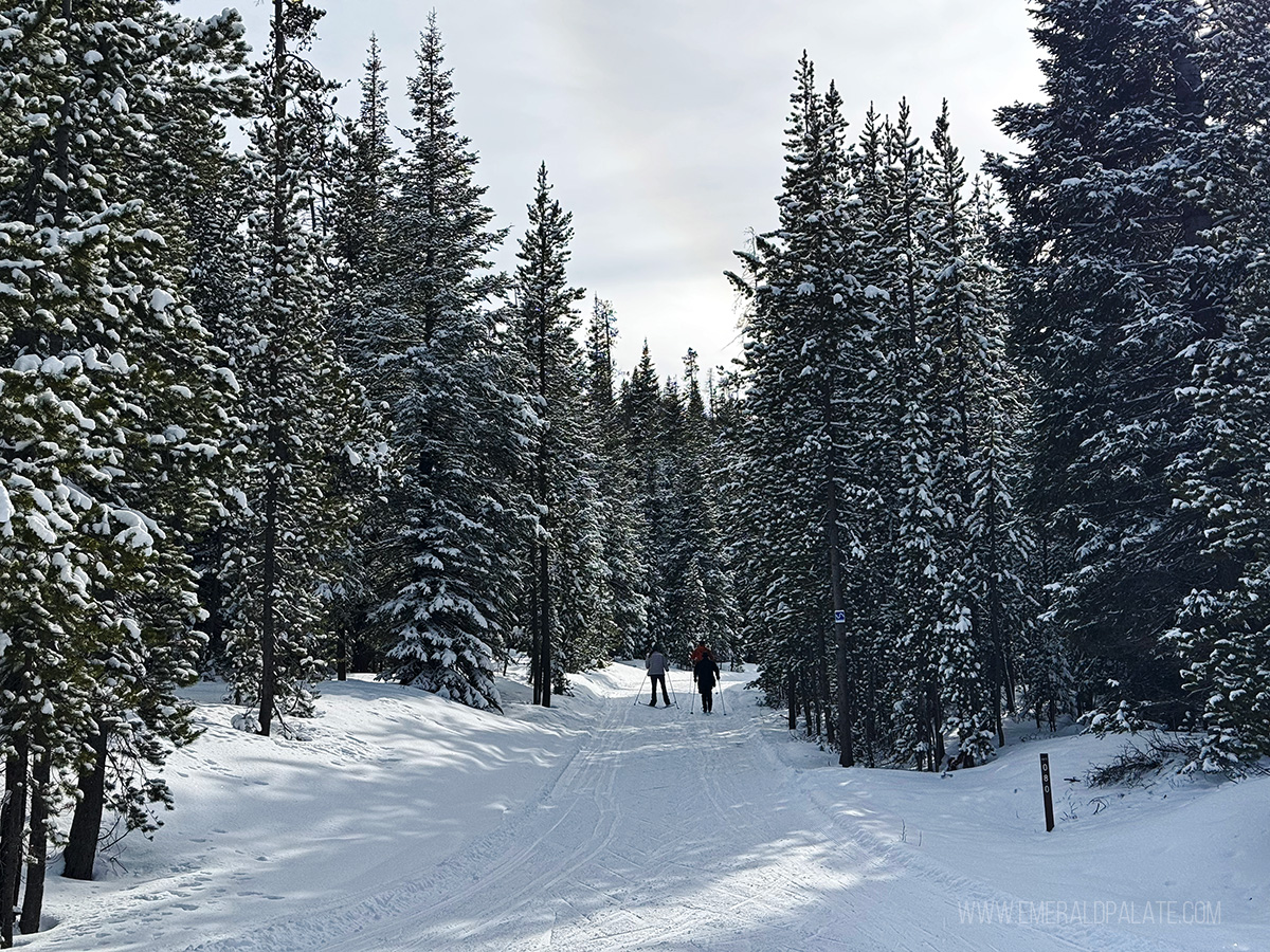 family cross-country skiing in Bend Oregon