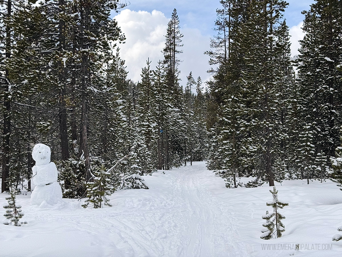 Swampy Lakes cross-country skiing trail in Bend Oregon with a snowman