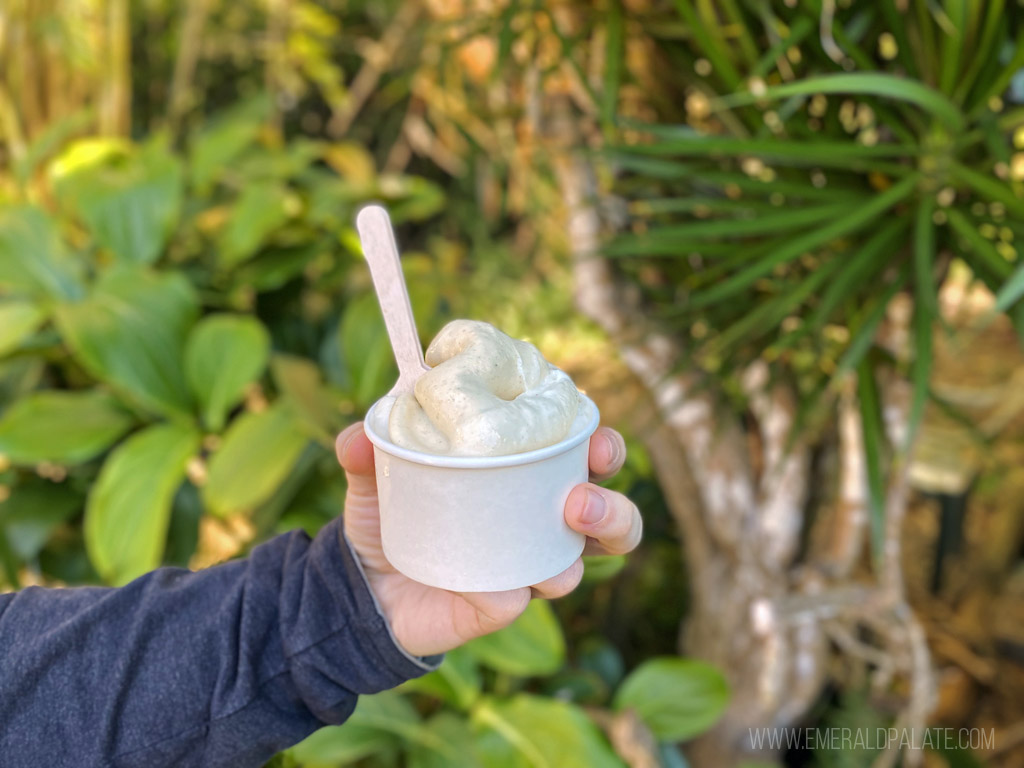 soft serve ice cream from a Kauai farm stand