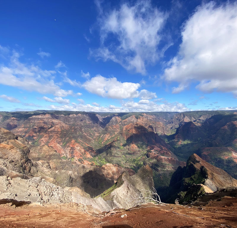 Waimea Canyon, a must visit during your Kauai itinerary