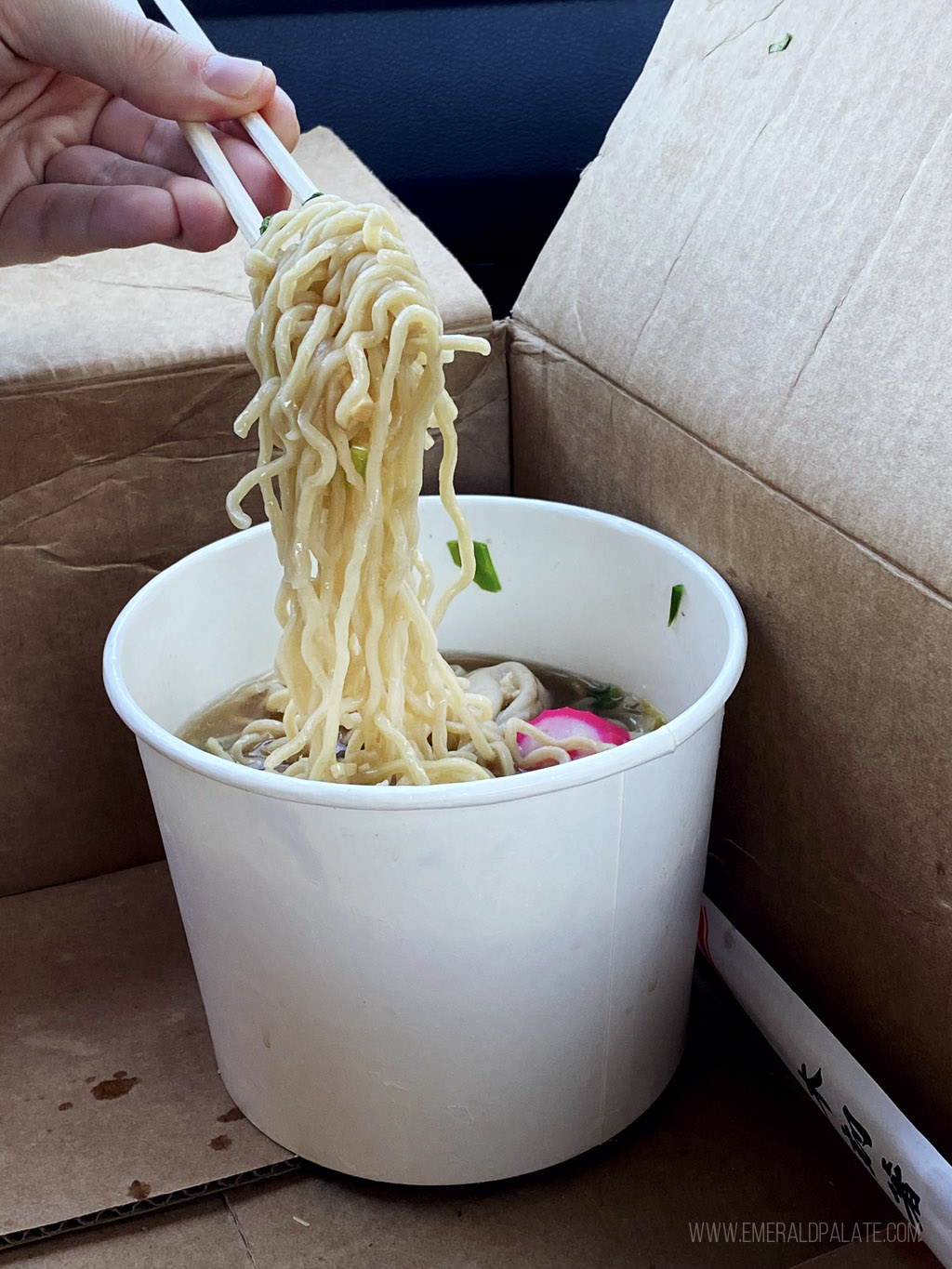 person picking up noodles from a bowl of soup with chopsticks