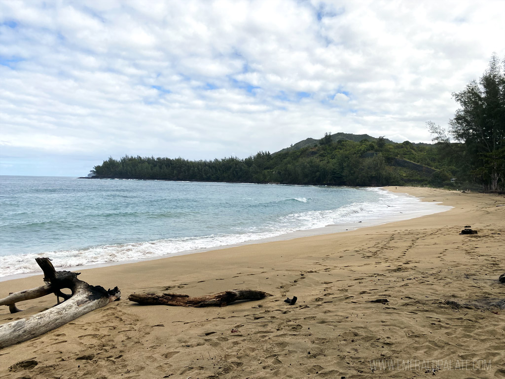 beach in Kauai