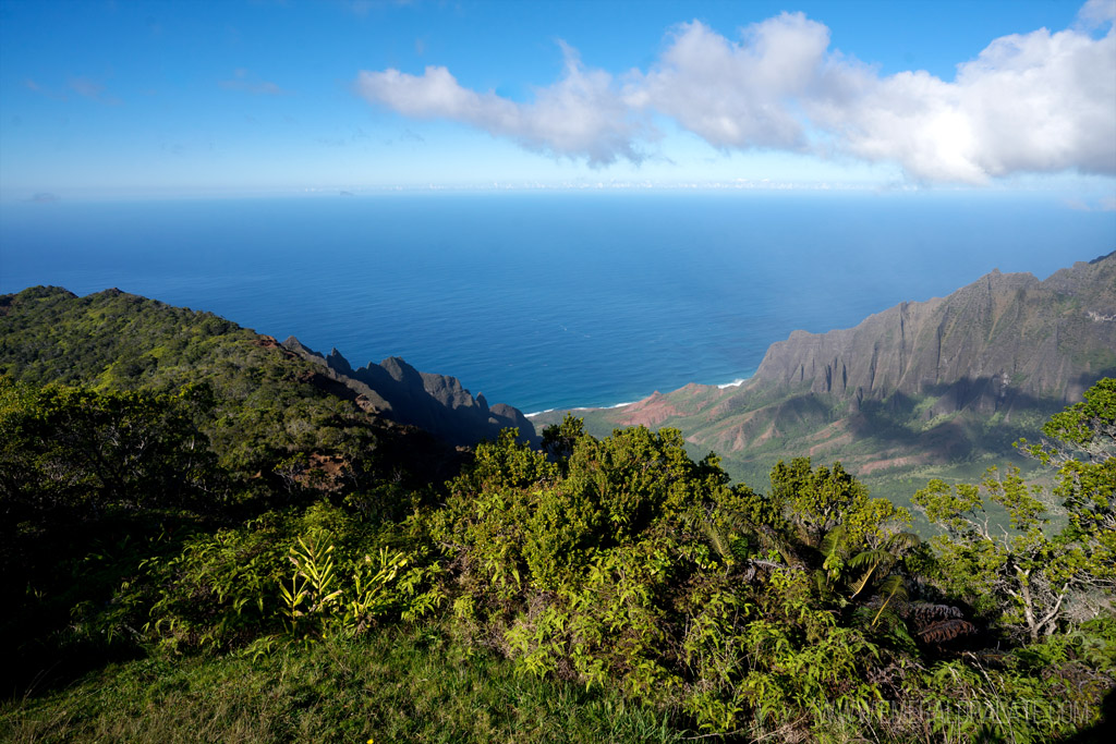 Na Pali Coast from Waimea State Park