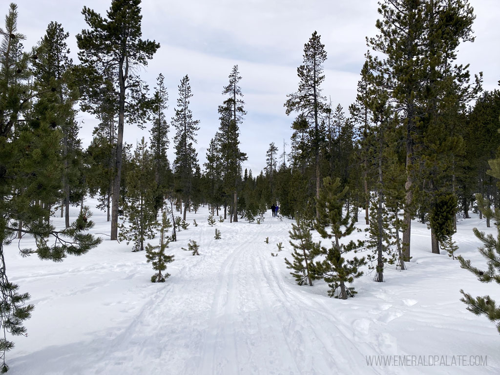 Swampy Lakes Sno Park, one of the must do things to do in Bend, Oregon in winter