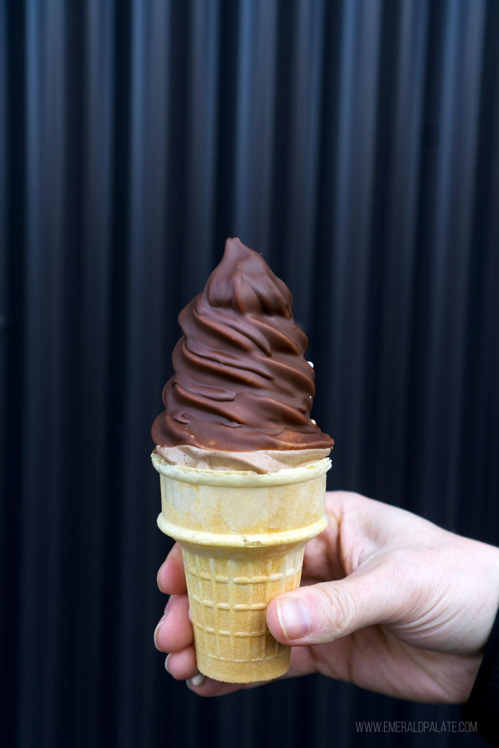 person holding a chocolate dip cone